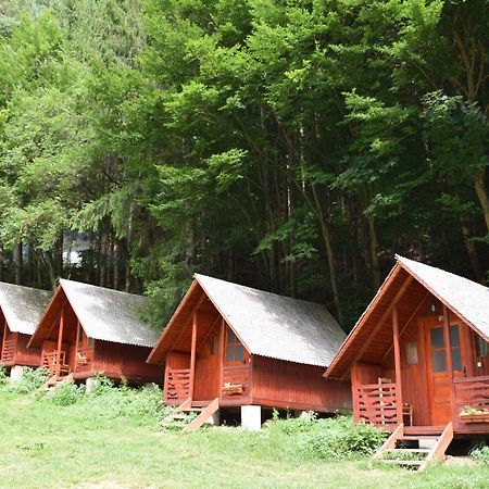 Cabanute Si Camping Dracula Capatineni-Paminteni Экстерьер фото