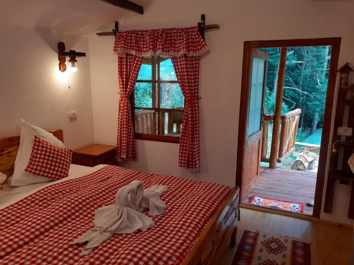 Cabanute Si Camping Dracula Capatineni-Paminteni Экстерьер фото