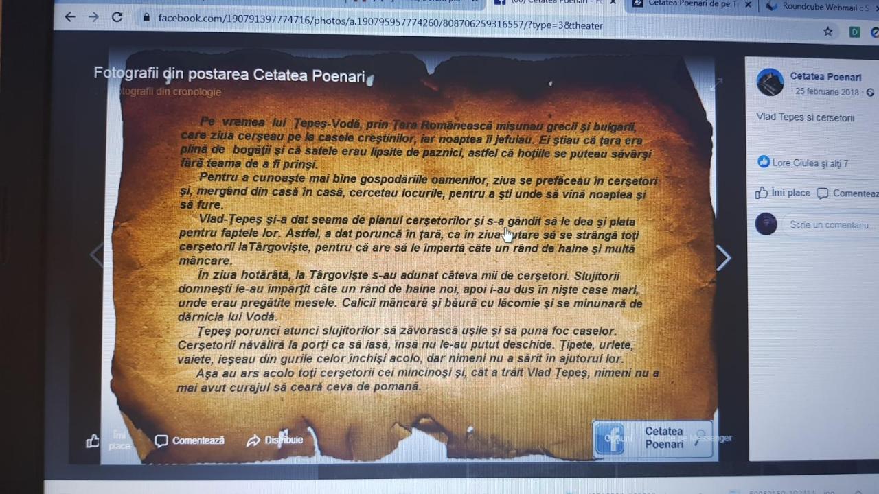 Cabanute Si Camping Dracula Capatineni-Paminteni Экстерьер фото