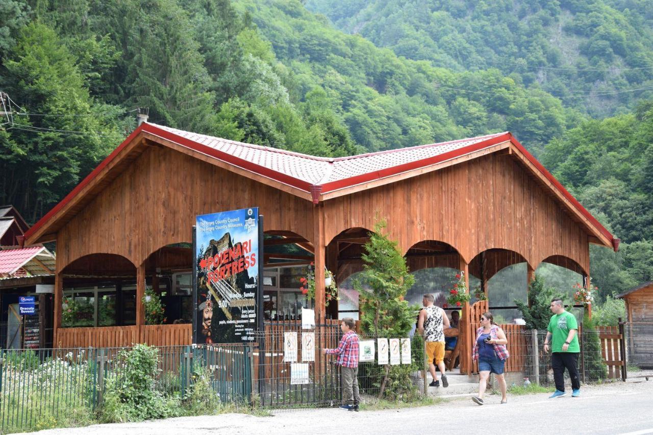 Cabanute Si Camping Dracula Capatineni-Paminteni Экстерьер фото