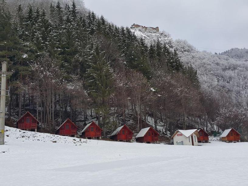 Cabanute Si Camping Dracula Capatineni-Paminteni Экстерьер фото